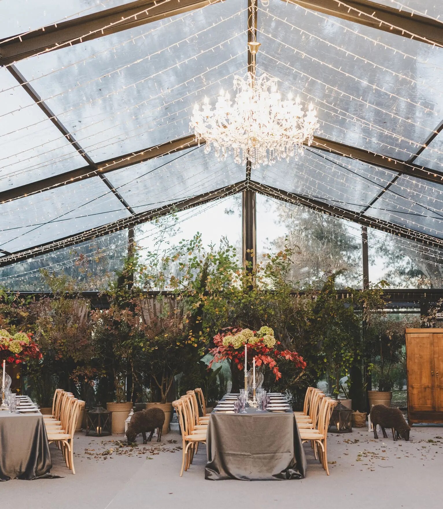 D'Orangerie event hall with transparent roof in Istria
